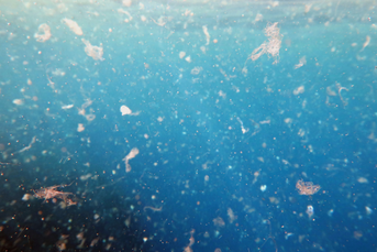 10 Ways to stop feeding our clothes to the Ocean