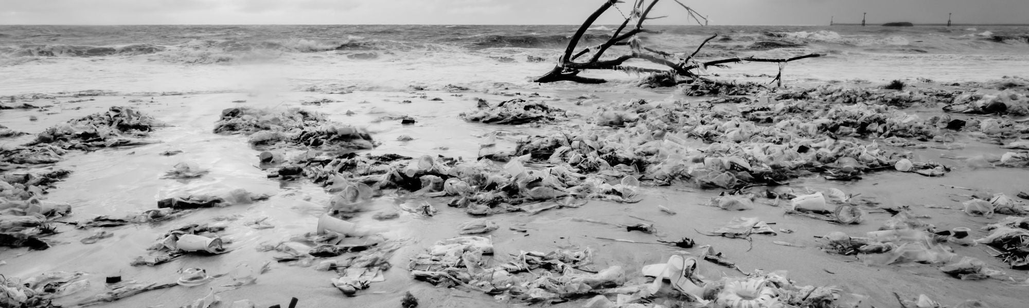 Environmental pollution photograph from Wilfried’s original story