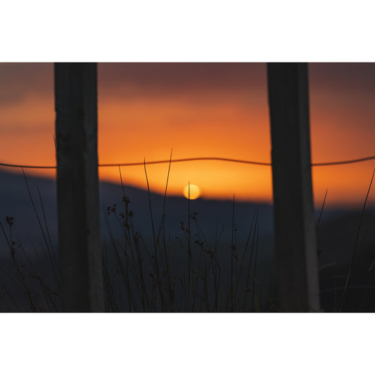 Whaingaroa Sunset LUCK•E